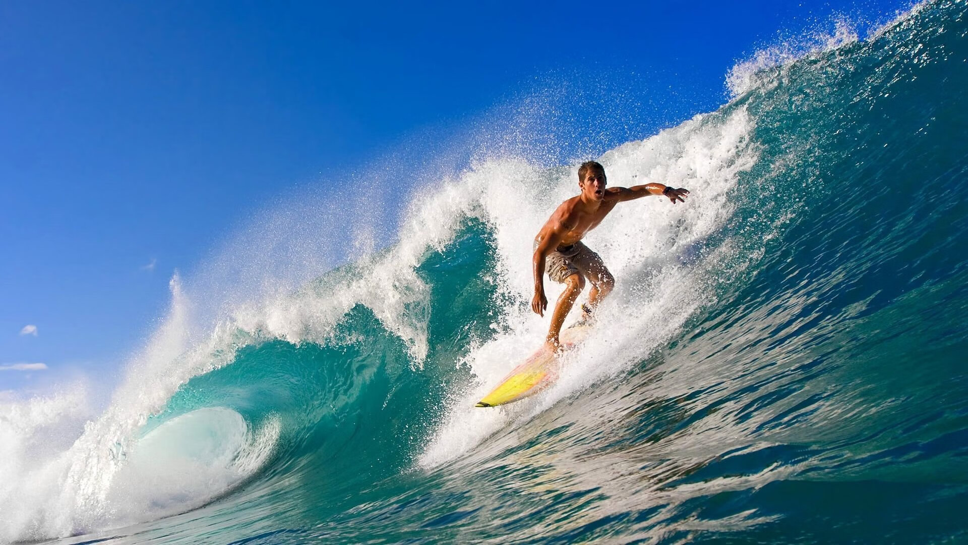 “沙滩排球:高新体育中心赛场让你领略速度与技巧的结合”